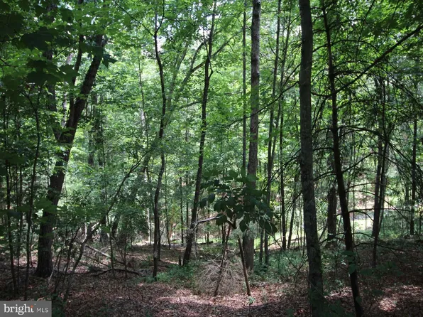 0 Anderson Rd, Basye, VA 22810