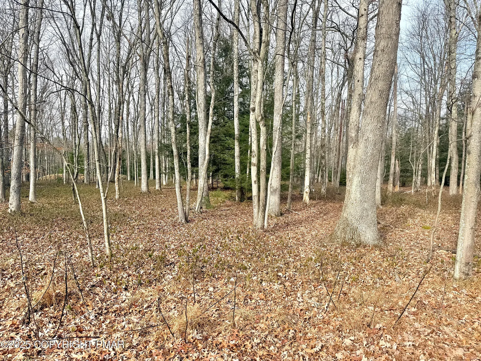 123 Towamensing Trl photo 1