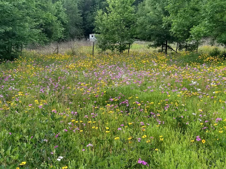 Back paddocks in the spring