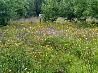 9007 NW 176th Ter, Alachua, FL 32615