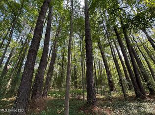 2 Edwards Rd, Carthage, MS 39051