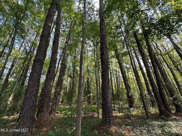 2 Edwards Rd, Carthage, MS 39051