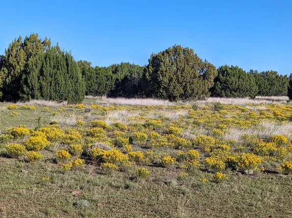 27 Winchester Trl, Vernon, AZ 85940