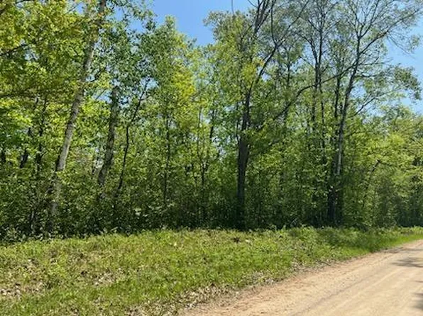 Tbd Onigum Rd, Walker, MN 56484