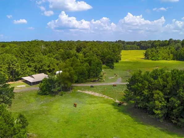 9429 Fm 83, Pineland, TX 75968