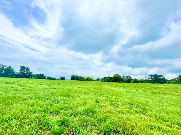 647 Lick Creek Rd, Cullman, AL 35055