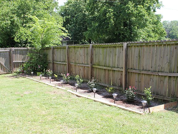 Back yard rose garden #1
