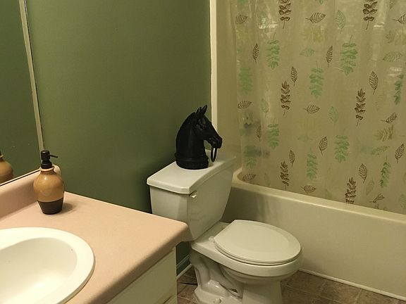 4th image of 313 Carpenter Rd