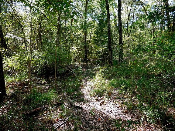 4th image of 9948 Richardson Rd