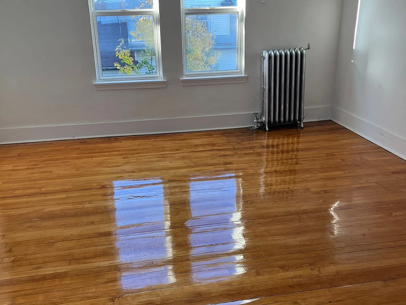 3 bed, 999 sqft, $3,390 — Photo 3