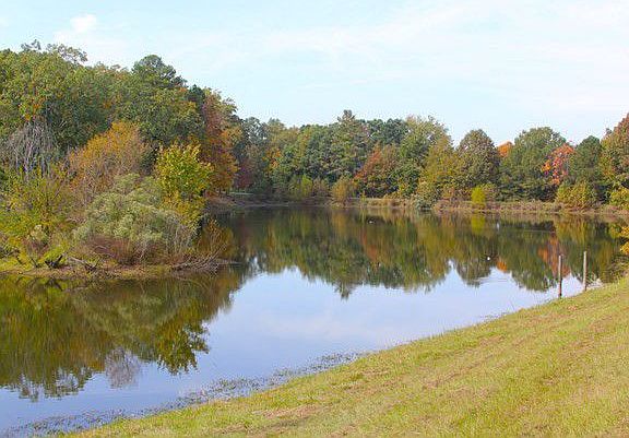 Bass, crappie, bluegill and more