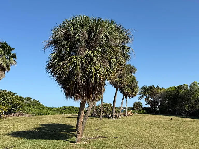 Huge Backyard on the Intracoastal