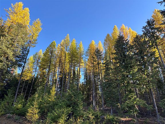 4th image of 1089 Cedar Hills Rd