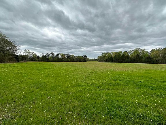 5th image of State Highway 204/cr #4401