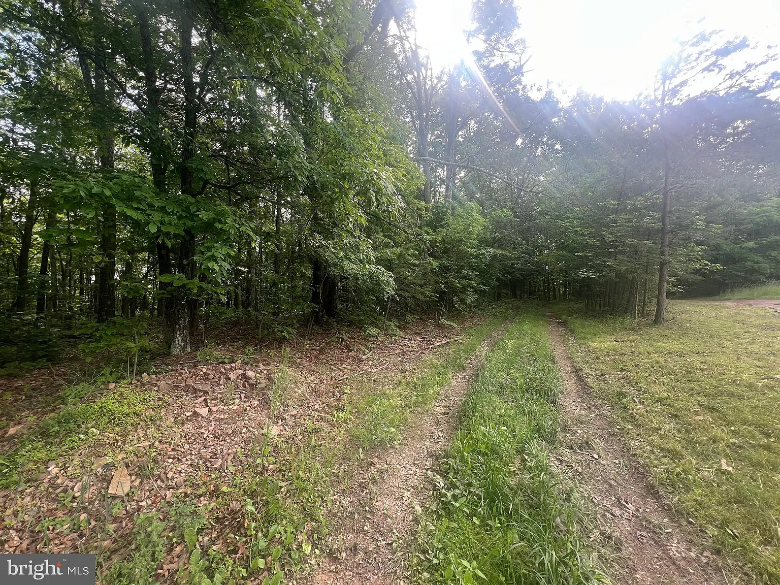Exline Rd photo 1