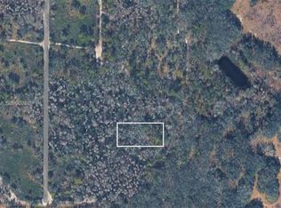 0 Unknown City In The Est #OF, Kathleen, FL 33849