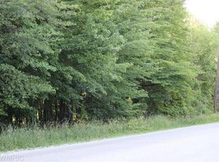 168TH Lane Ave, Spring Lake, MI 49456