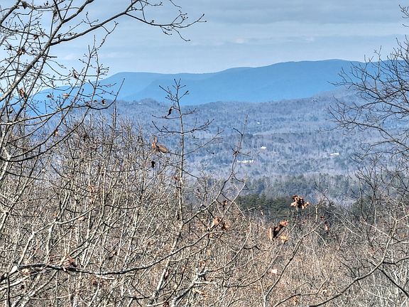 2nd image of Lts 159 Hickory Trce