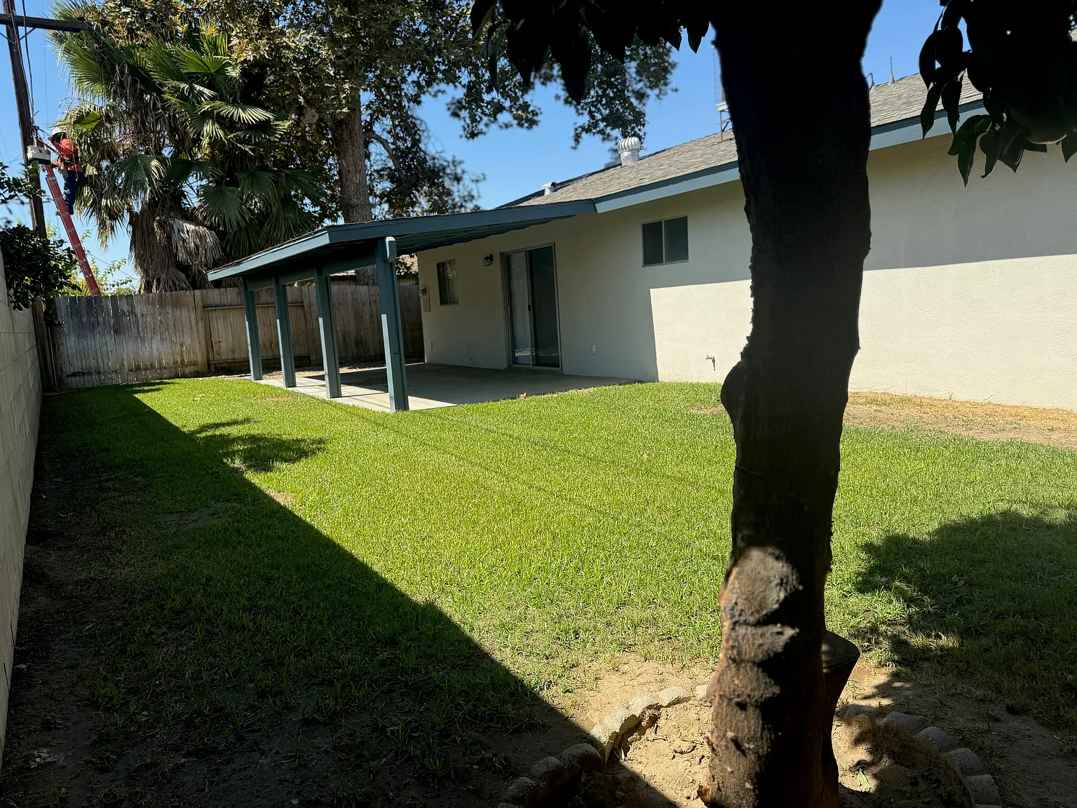 3 bed, 1340 sqft, $2,250 — Photo 3