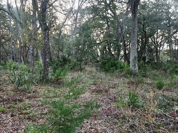 480 NE 278th Ave, Old Town, FL 32680