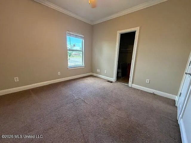 1282 Tropical Cv — Photo 15