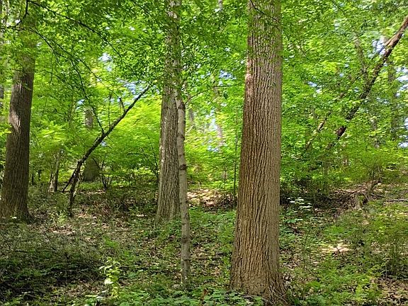 5th image of 294 Old Racetrack Rd
