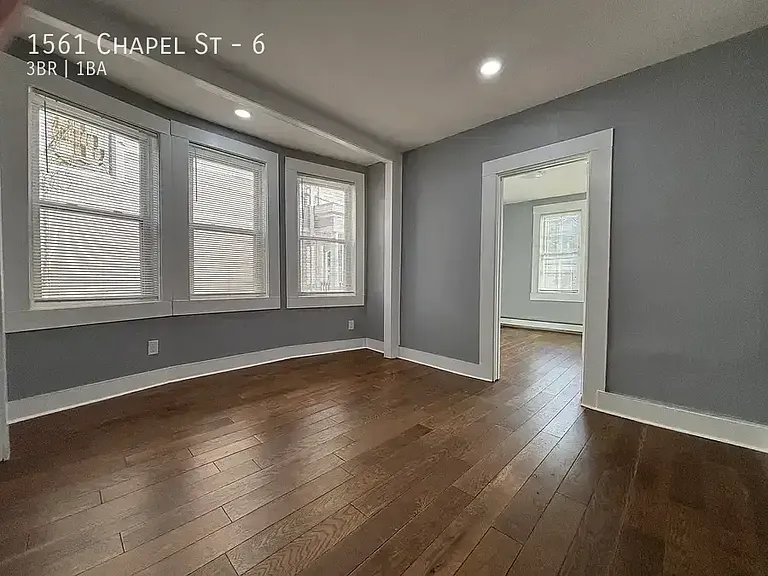 1561 Chapel St #6 — Photo 10