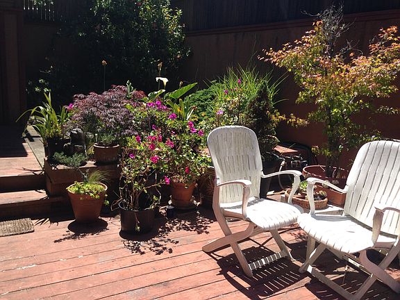 3rd image of 870 Pacheco St