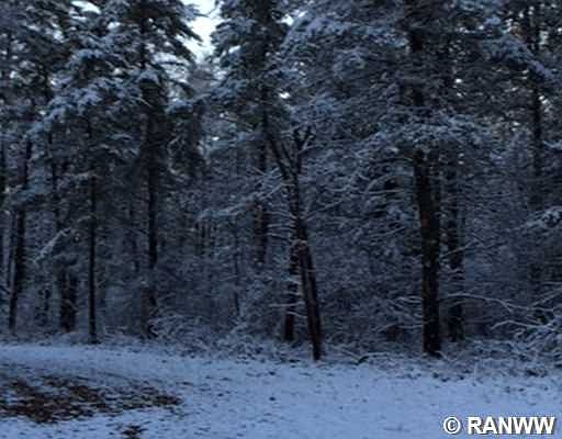2nd image of Lots Sassafras Court