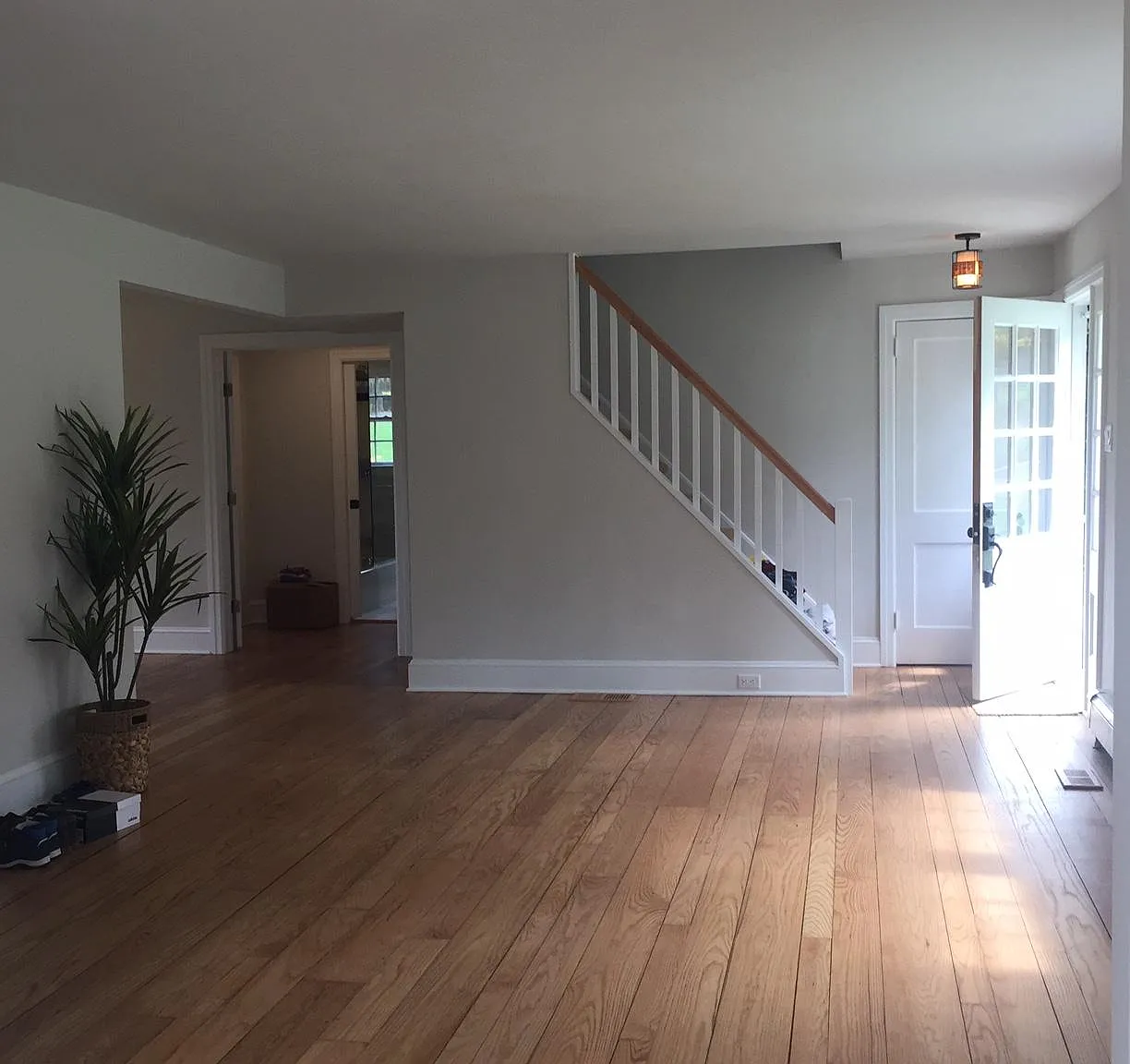 471 Lurgan Rd — Photo 4