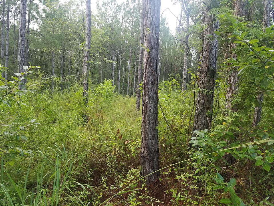 2nd image of 0 Herbage Dr