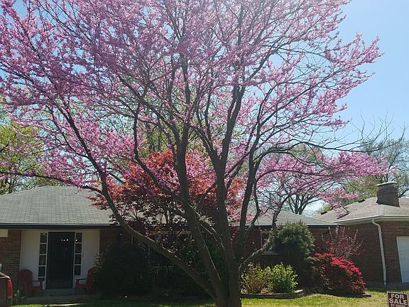 5th image of 6236 Westway Pl
