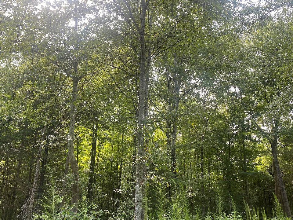 3139 County Road 72, Boligee, AL 35443 Zillow