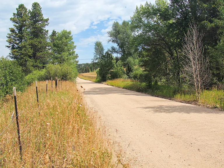 Gorgeous well-maintained year round mountain road leading to the cabin