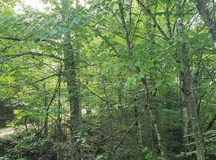 Bogard Rd, Cosby, TN 37722