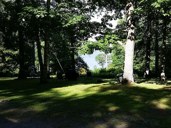 Extensive Lawns & Gardens