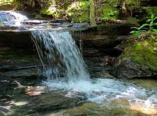 299 McIntosh Rd, Lake Toxaway, NC 28747