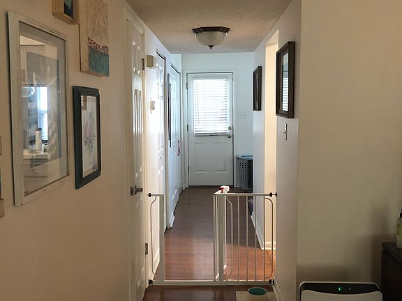 Downstairs hall