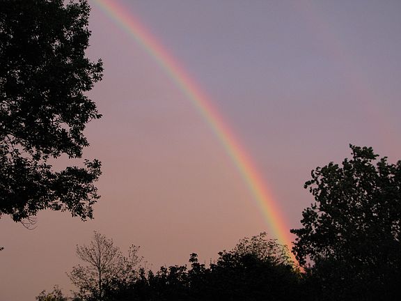 Rainbow over property