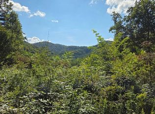 Tbd Tiger Creek Rd, Roan Mountain, TN 37687