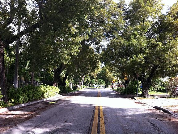 Mature tree-canopied street