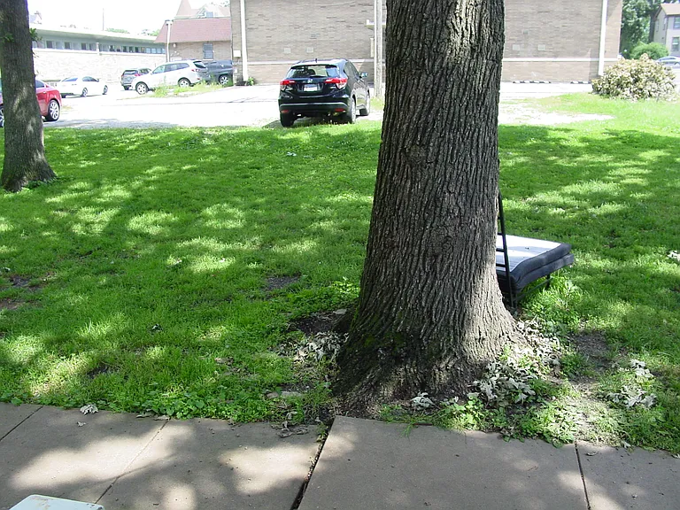 156 S Lasalle St #1 — Photo 23