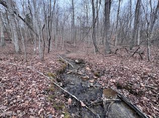 Buffalo Cove Ln, Jamestown, TN 38556