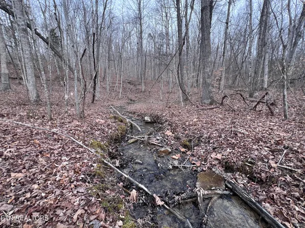 Buffalo Cove Ln, Jamestown, TN 38556
