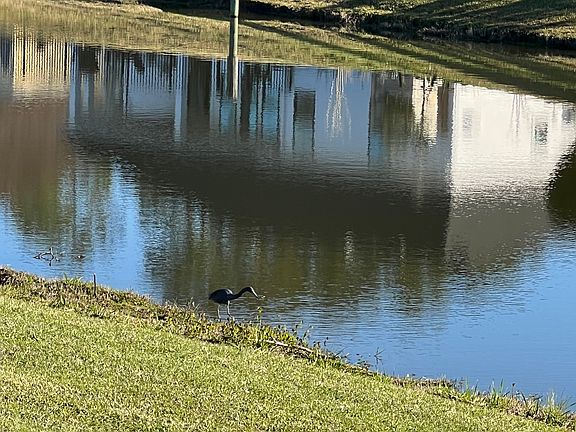 4th image of 2556 Country Club Blvd