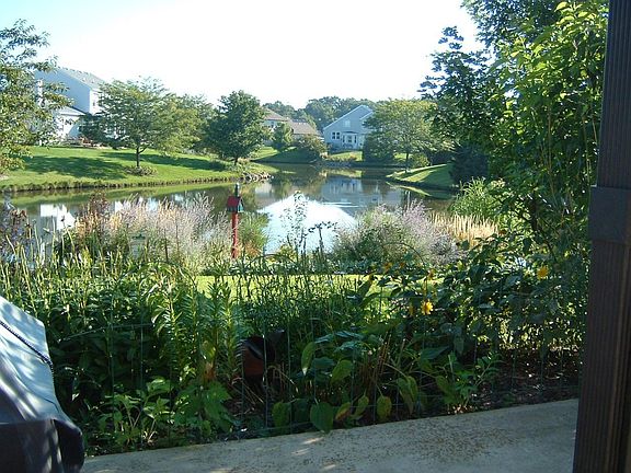 View from patio/kitchen