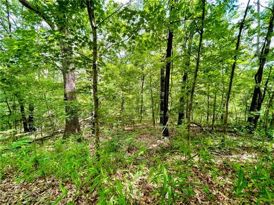 Yarrow Ln #7, Bella Vista, AR, 72715