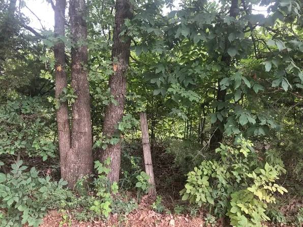 000 County Road 309, Alton, MO 65606