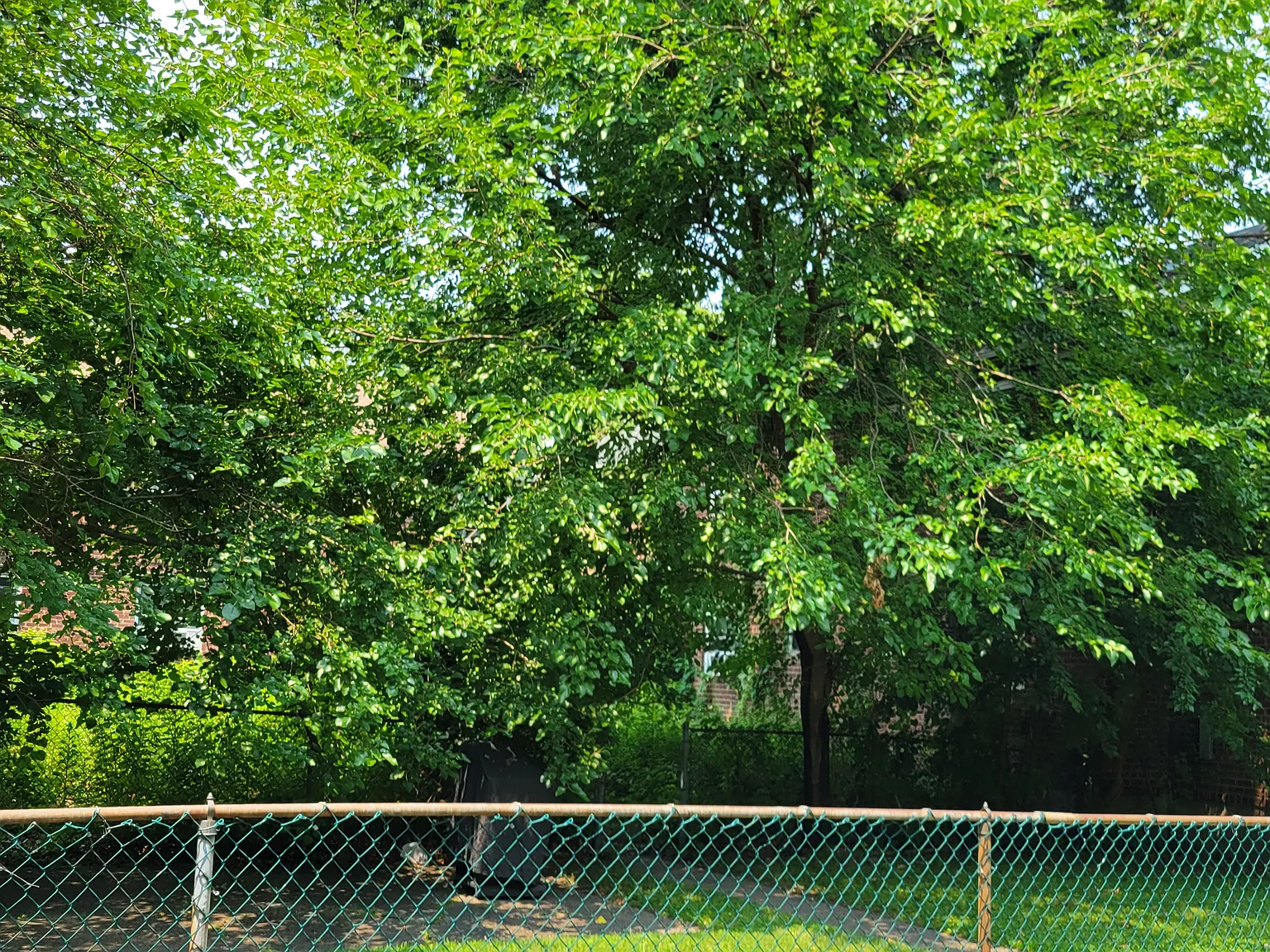 1 bed, $2,400 — Photo 2