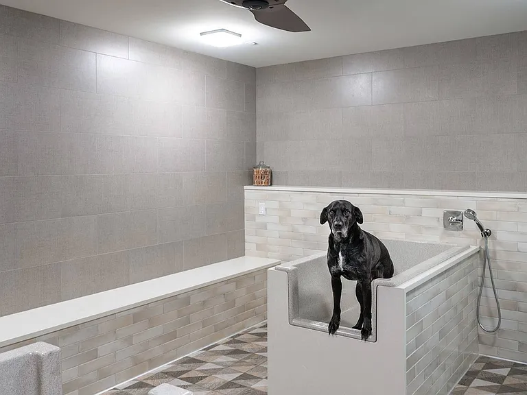 Pet Washing Station